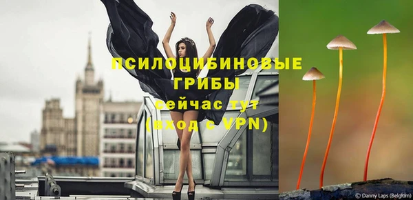 мдма Пересвет