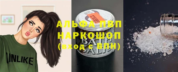 гашик Абаза