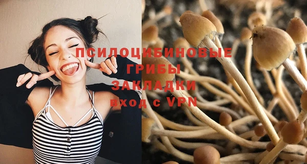 гашик Абаза