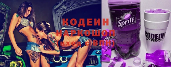 хмурый Алексин