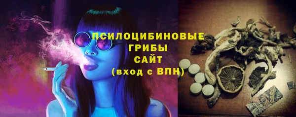 хмурый Алексин