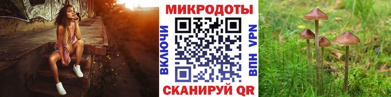 Галлюциногенные грибы Magic Shrooms Луга
