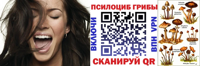 Псилоцибиновые грибы Psilocybine cubensis  как найти закладки  Луга 